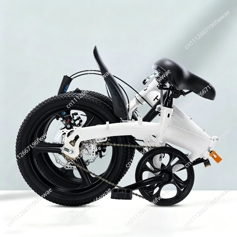 Voor 20 inch vouwfietsen voor  - Cycling Gear Gifts recensie en prijs